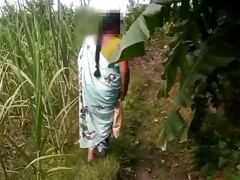 Pornstars xnxx videos